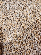 Weizen kg futterweizen gebraucht kaufen  Kirchenlamitz