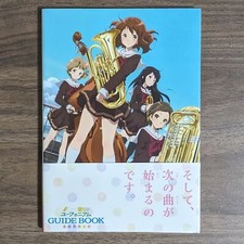 Suono libro guida usato  Spedire a Italy