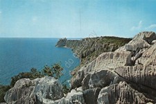 Cartolina trieste scogliera usato  Milano