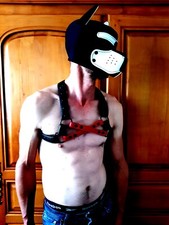 Harnais masque homme d'occasion  Poix-de-Picardie