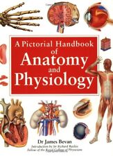 Pictorial handbook anatomy for sale  UK