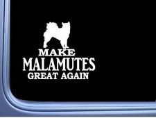 Malamute maga l724 for sale  Scottsville