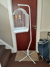 Liberta siam budgie for sale  BRIDLINGTON
