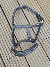 Shetty halfter leder gebraucht kaufen  Krefeld