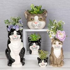 Shudehill giftware moggy gebraucht kaufen  Versand nach Germany