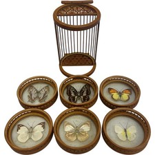 butterfly coasters for sale butterfly coasters for sale HAVERFORDWEST