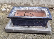 Ceramic bonsai planter for sale  STOCKPORT