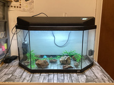 60cm 18cm 38cm for sale  ROMNEY MARSH