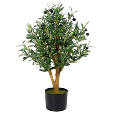 Leaf design albero usato  Roccagloriosa