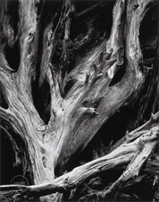 Vtg ansel adams for sale  Woodstock