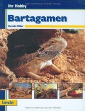 Ihr hobby bartagamen gebraucht kaufen  Berlin
