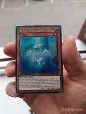 Spectral maître dragon d'occasion  Louhans