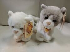 Gatto white white usato  Genova