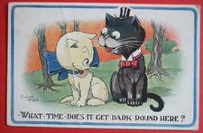 Donald mcgill cats for sale  HUNTINGDON