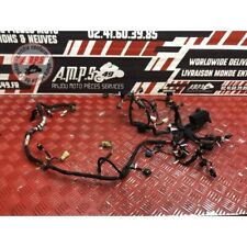 Faisceau moteur ducati d'occasion  France