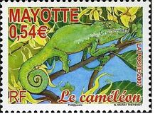 Mayotte 2007 cameleon d'occasion  Expédié en Belgium