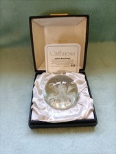 Caithness jubilee moonflower for sale  SHANKLIN