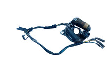 Statore alternatore magnete usato  Frattaminore