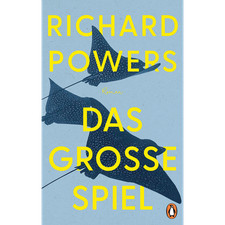 Große spiel roman gebraucht kaufen  Berlin