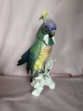 Beautiful karl ens for sale Beautiful karl ens for sale  CUPAR
