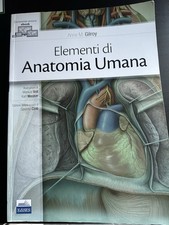 Elementi anatomia umana usato Elementi anatomia umana usato  Roma