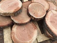 Rustic damaged log for sale  WORCESTER