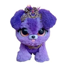 Present pets princess for sale Present pets princess for sale  ELLESMERE PORT