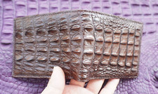 Brown real crocodile for sale  USA