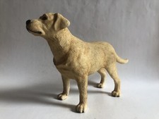 Leonardo golden labrador for sale  UK