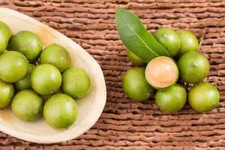 Grafted spanish lime for sale  USA