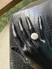 Vtg genuine nautilus for sale  Beaufort