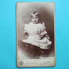 Skitt chorley young for sale  TELFORD