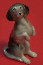 Midwinter begging daschund for sale  LEWES