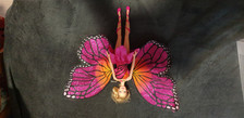 Barbie mariposa gebraucht kaufen  Flensburg