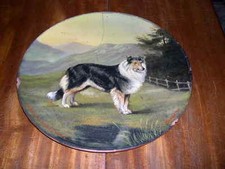 collie paintings for sale  WARRINGTON