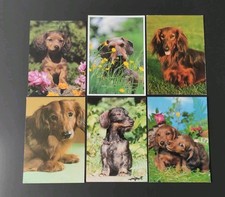 Set lot verschiedenen gebraucht kaufen  Borna