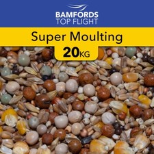 Super moulting pigeon for sale  LEYLAND