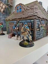 Rpg wargame miniature gebraucht kaufen  Langenau