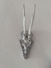 geweih silber gebraucht kaufen geweih silber gebraucht kaufen Offenbach am Main