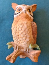 Long eared owl for sale  PERSHORE