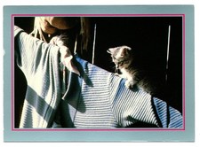 Cpm chat tigré d'occasion  Agay