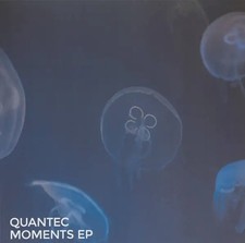 Quantec moments vinyl gebraucht kaufen  Deutschland