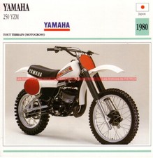 Yamaha yzm 250 d'occasion  Cherbourg-Octeville-