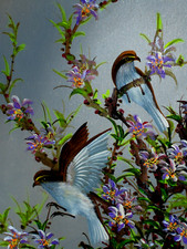 Original blue gray for sale  Houston