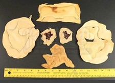 Michael jackson thriller usato Michael jackson thriller usato  Spedire a Italy