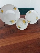 Sammelgedeck teilig gebraucht kaufen  Bergisch Gladbach