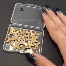 Sharks teeth million for sale  LEIGH-ON-SEA