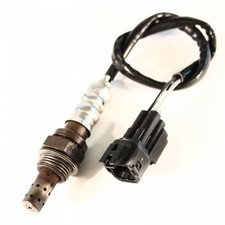 Honda cbr cbr600 gebraucht kaufen  Markkranstädt