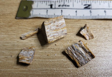 Reduced dinosaur bone for sale  SOLIHULL