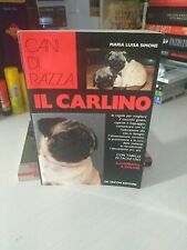 Cani razza maria usato  Italia